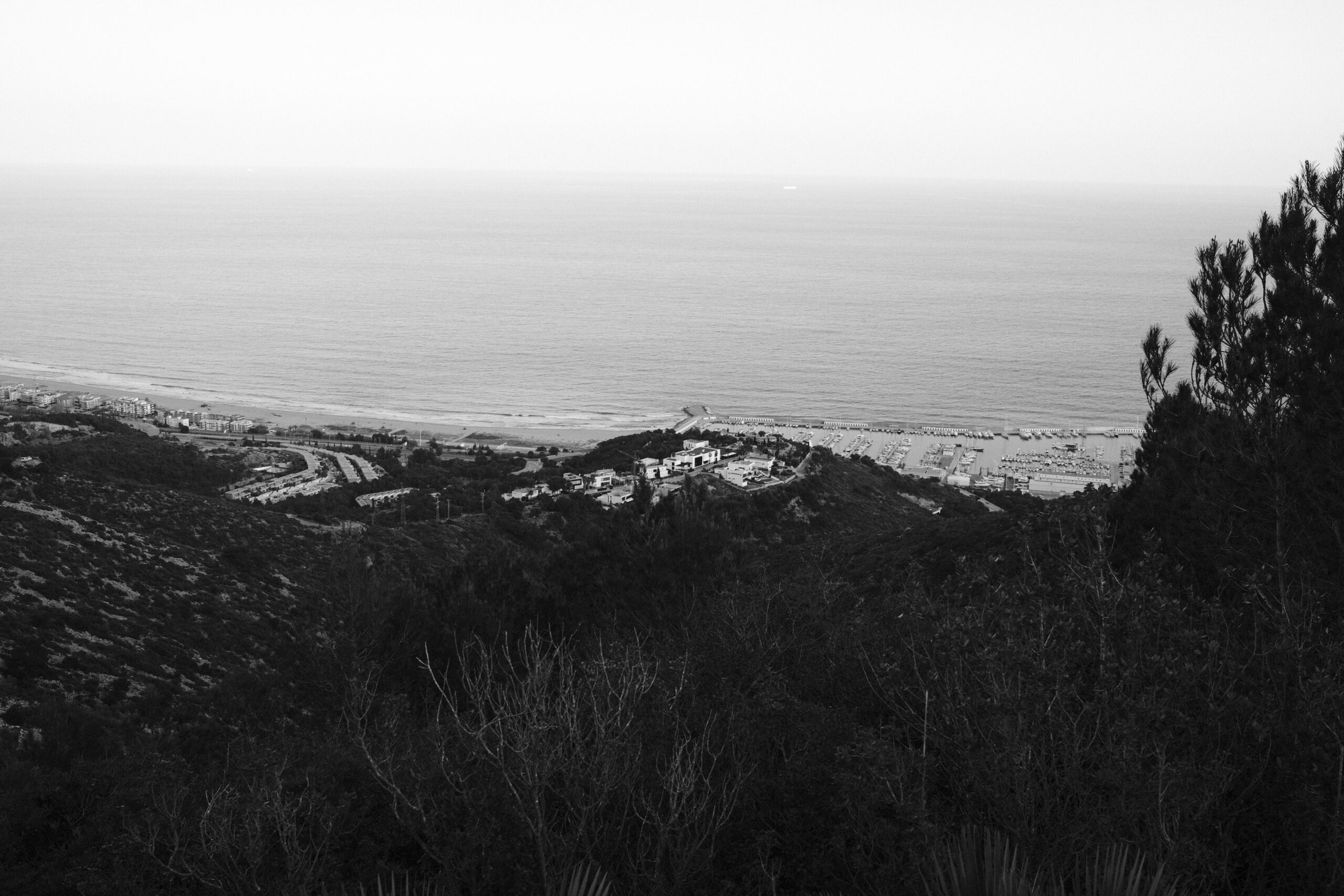A woman's hand with silver rings rests gently on green grass, wearing a floral patterned skirt.