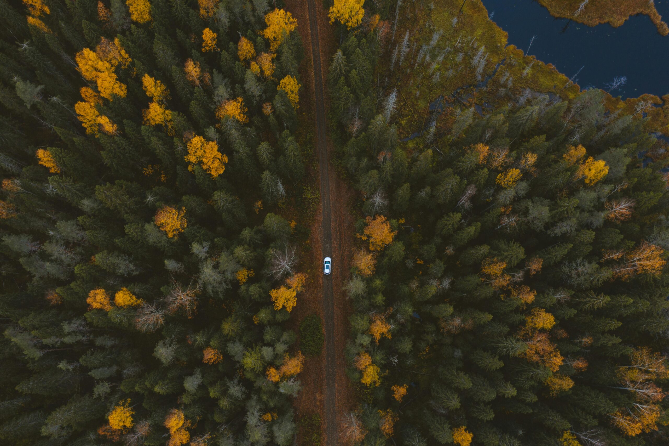 Aerial shot of a scenic road cutting through a vibrant autumn forest in Karelia, Russia.