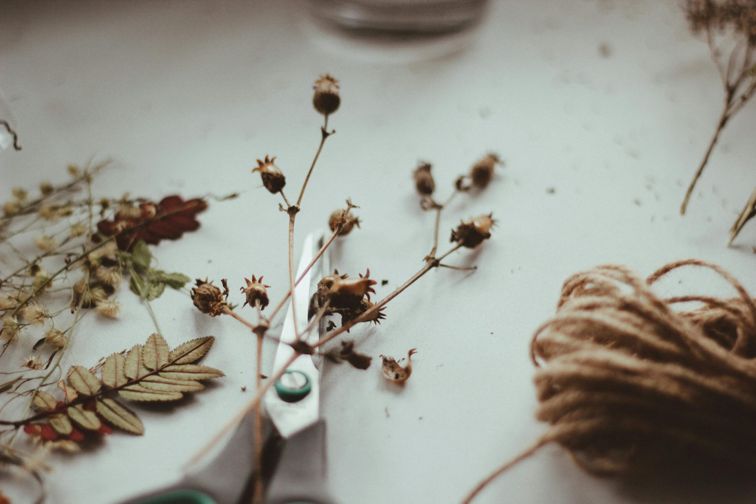 Close-up of a beautiful arrangement featuring cotton buds and dried flowers for a natural decor look.