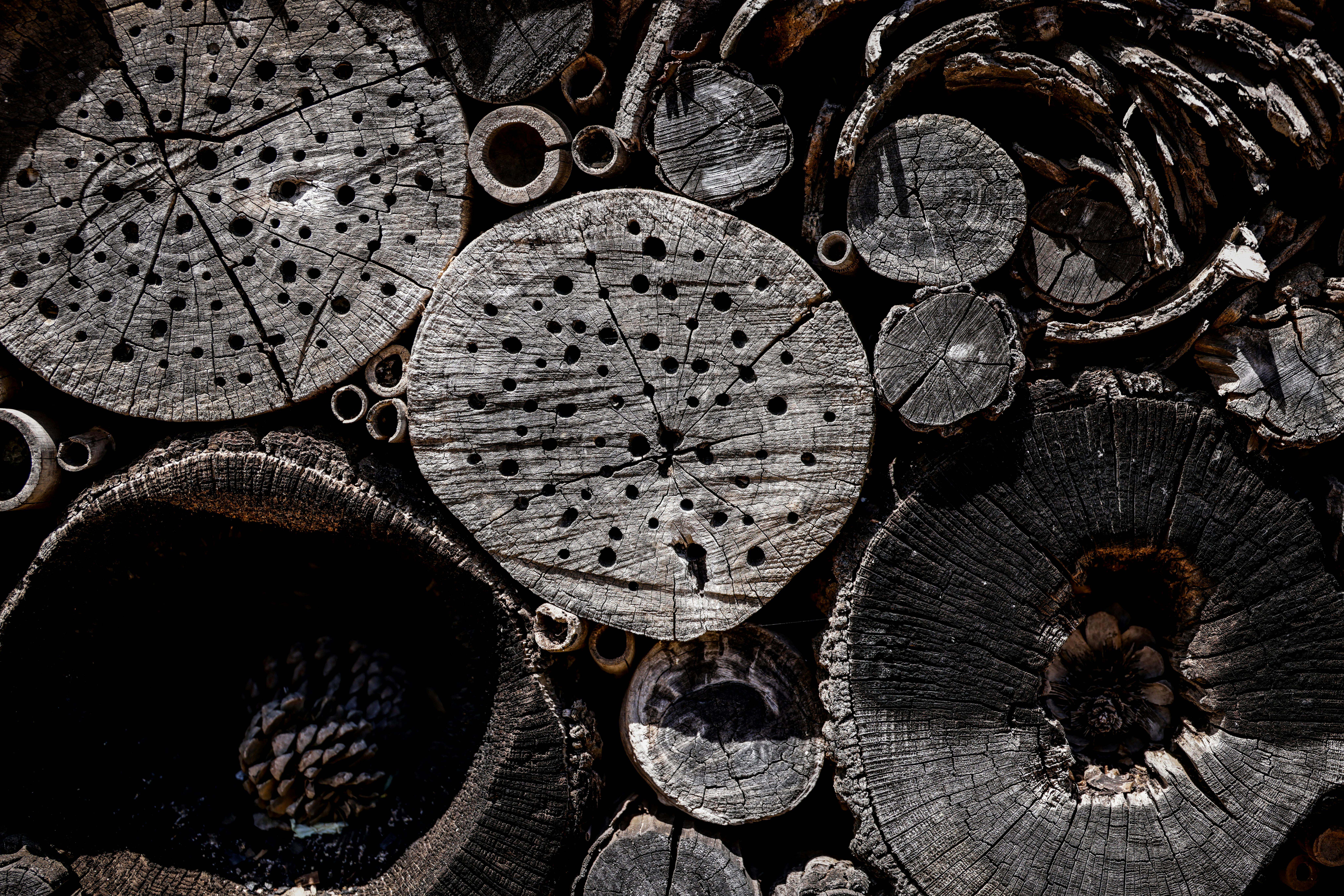 Explore a serene curvy road winding through autumn woods, rich with vibrant fall colors and foliage.