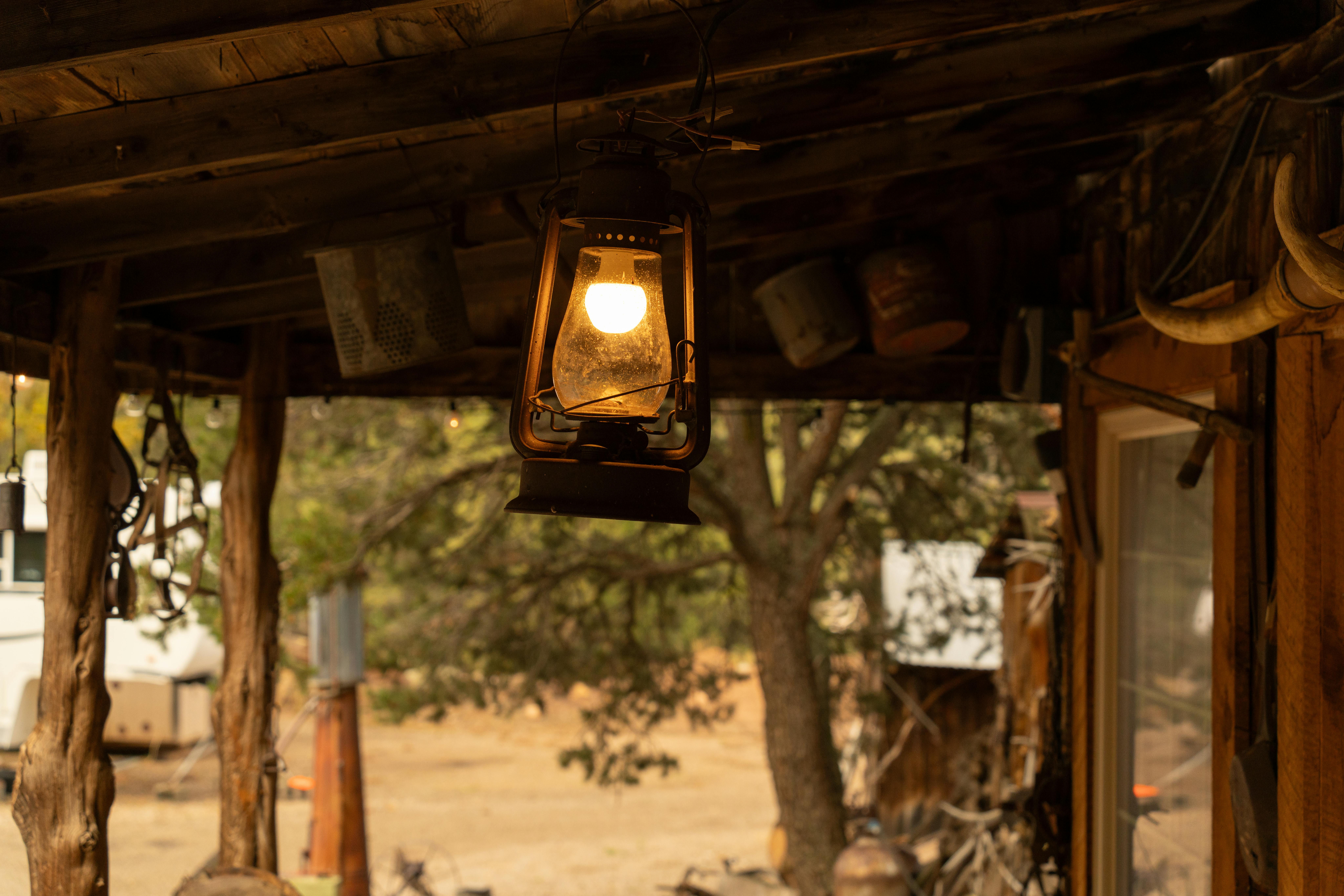 Freshly baked poppy seed swirl bread slices with a cinnamon touch, captured on a light background.